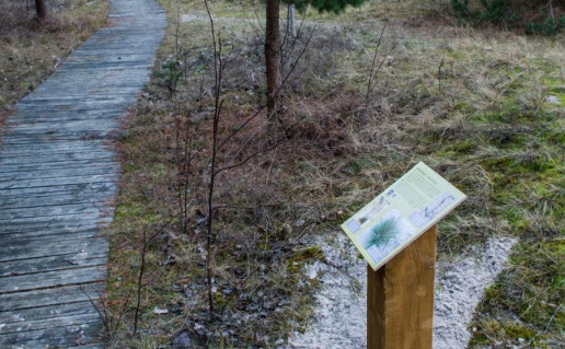 3_Nemirseta_kopos (4).jpg